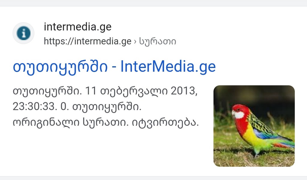 user posted image