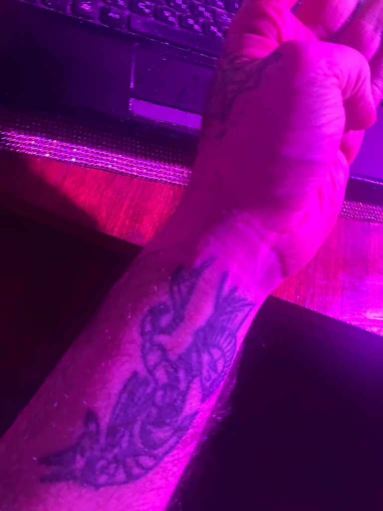 user posted image