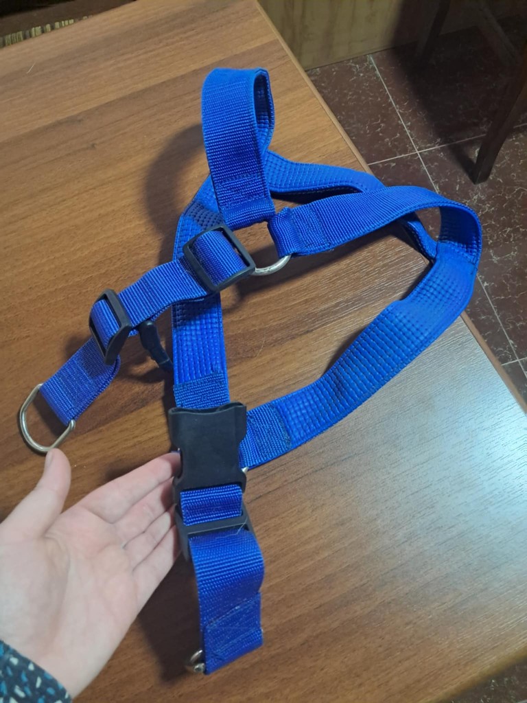 user posted image