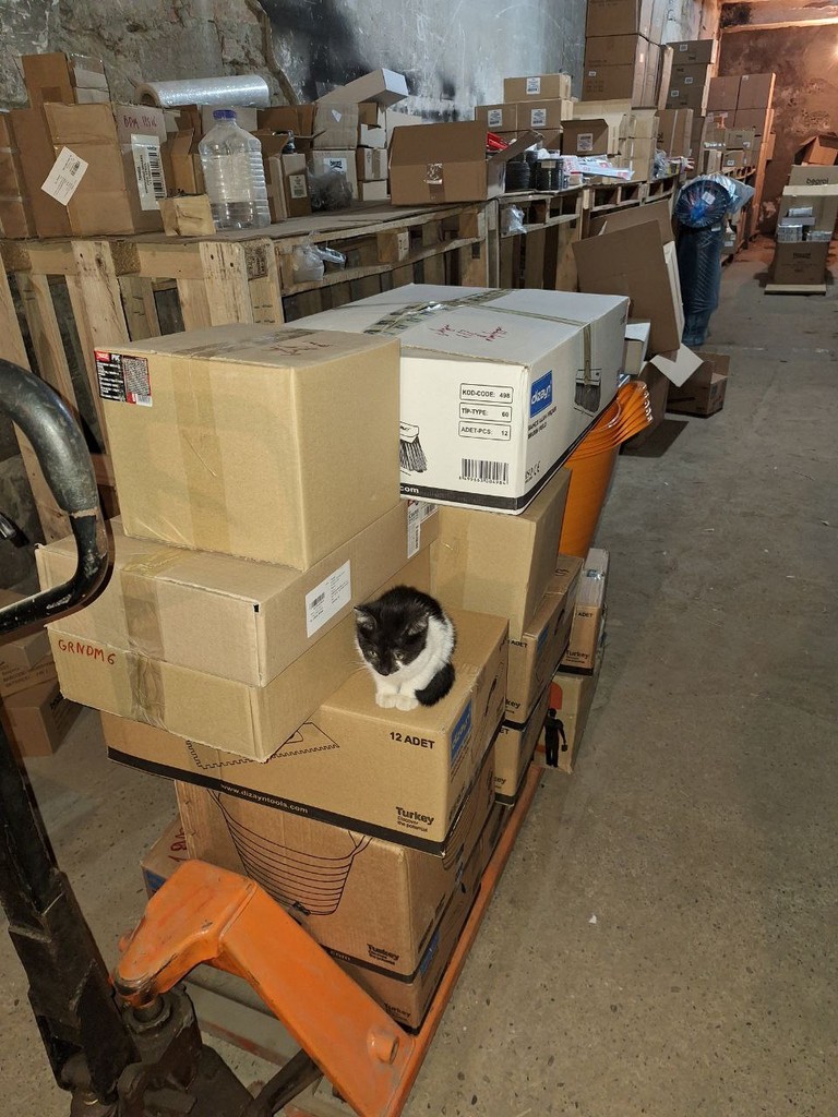user posted image