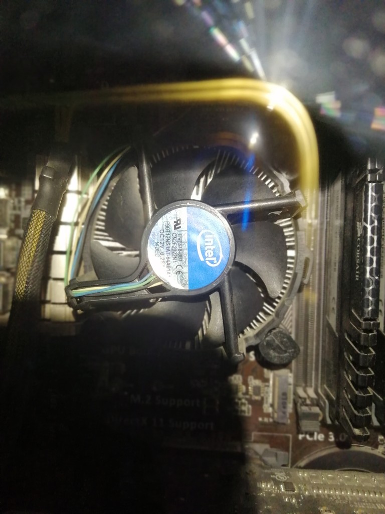 user posted image