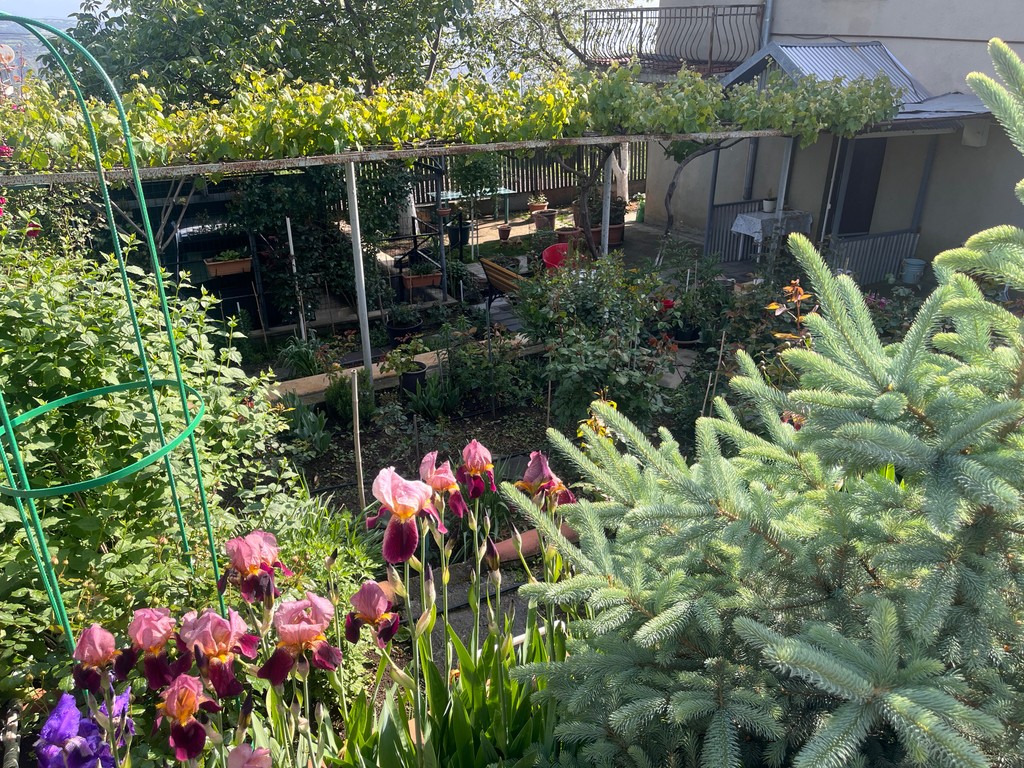 user posted image