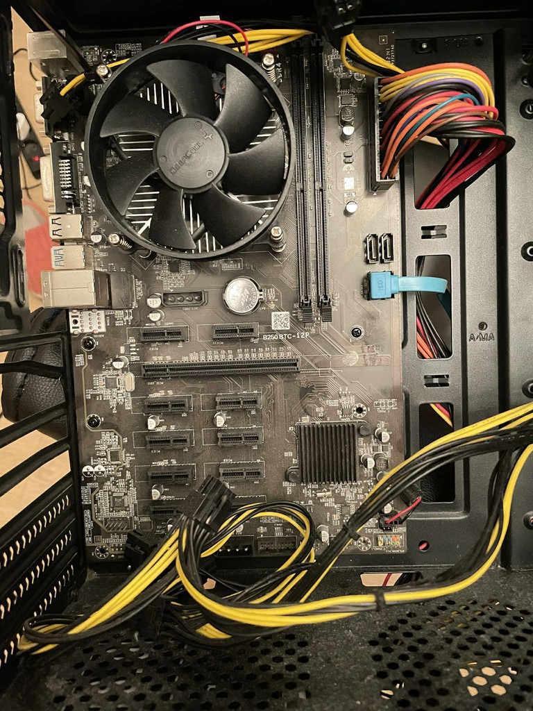 user posted image