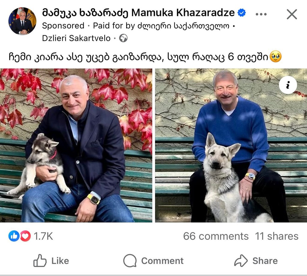 user posted image