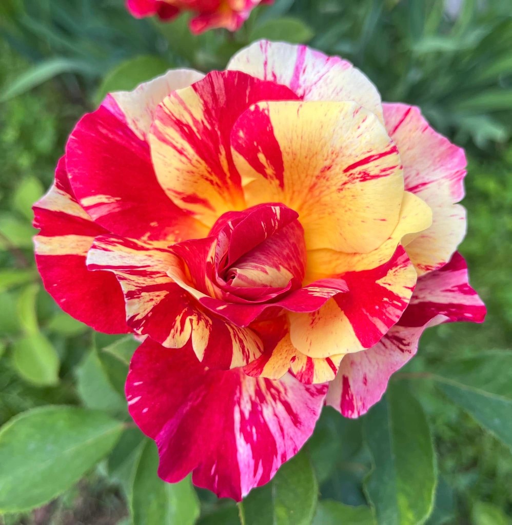 user posted image