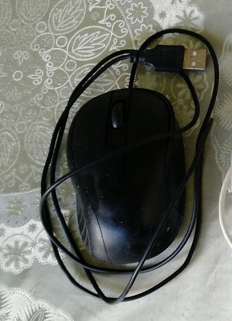 user posted image