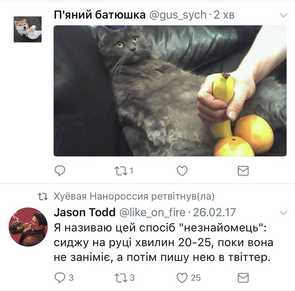 user posted image