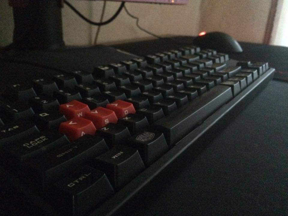 user posted image