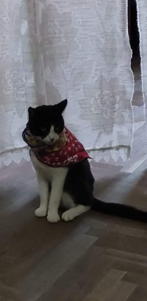 user posted image