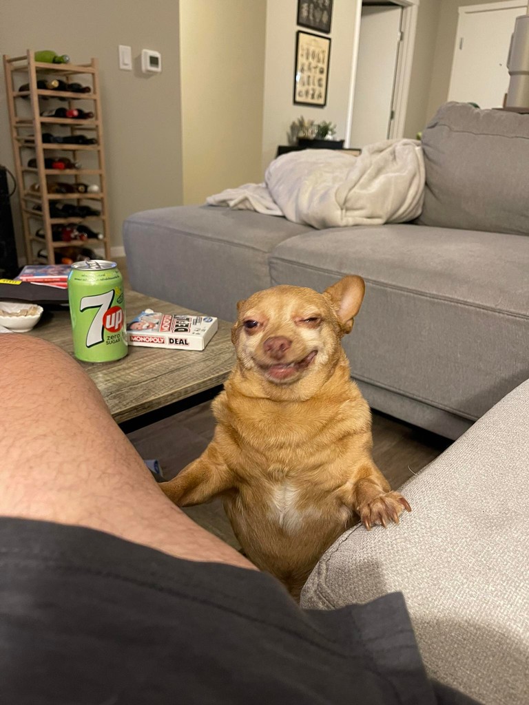 user posted image