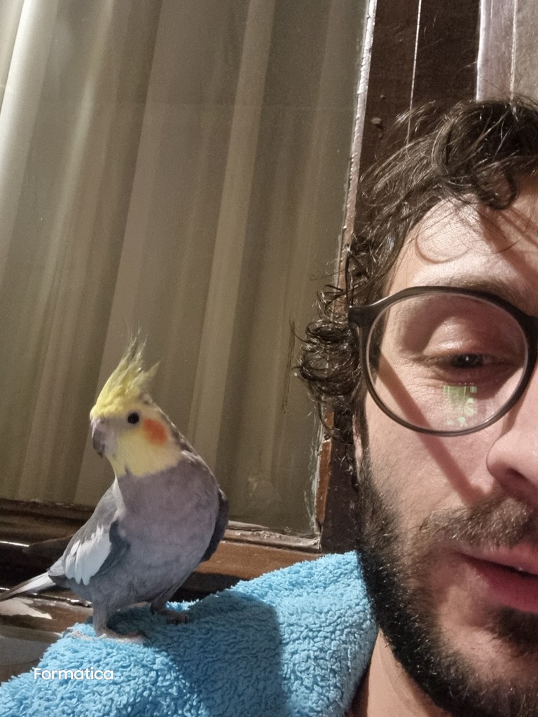 user posted image