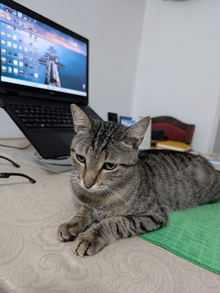 user posted image