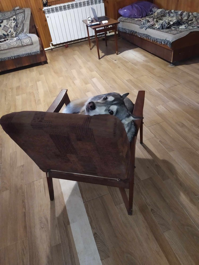 user posted image