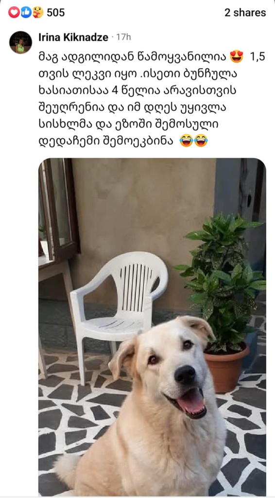 user posted image
