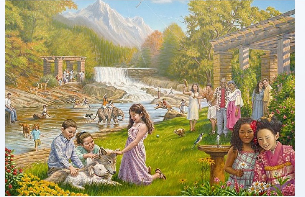 user posted image