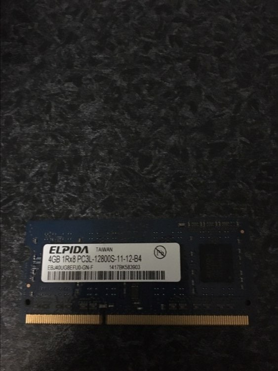 user posted image