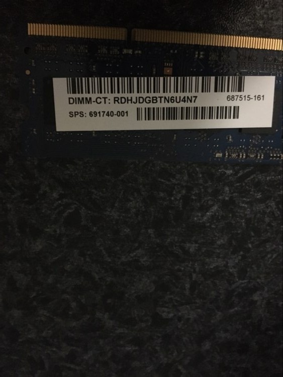 user posted image