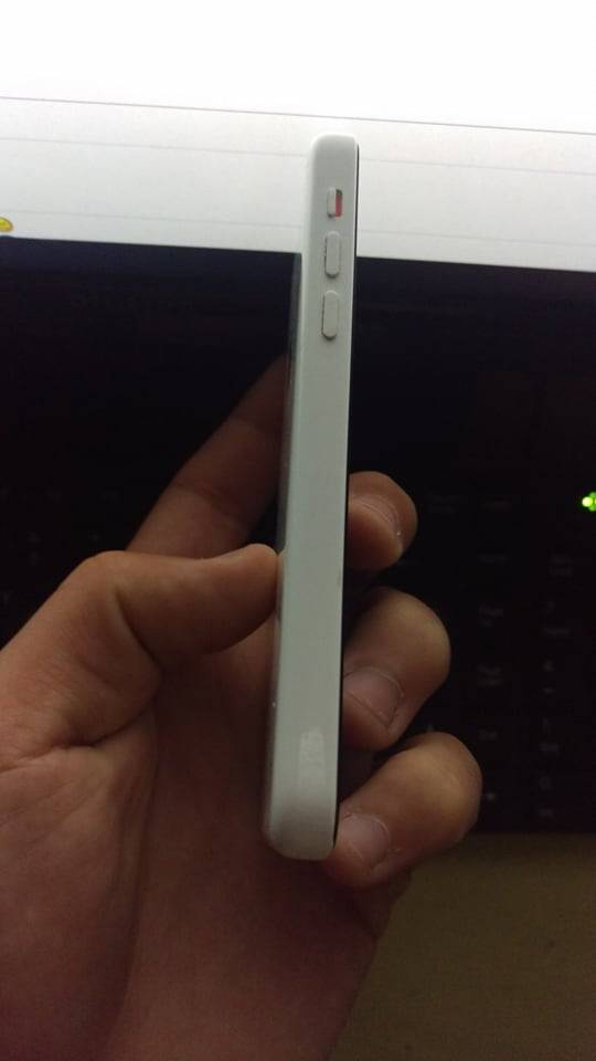user posted image