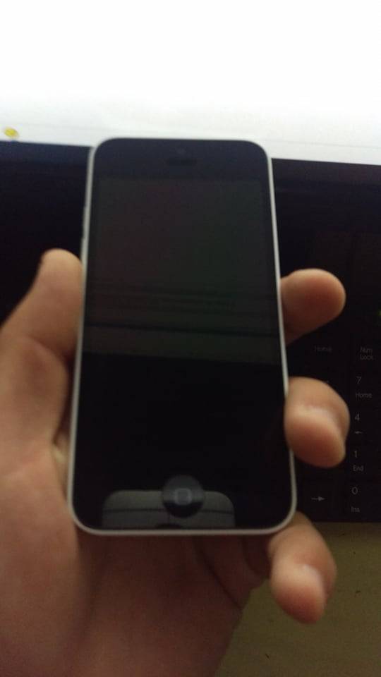 user posted image