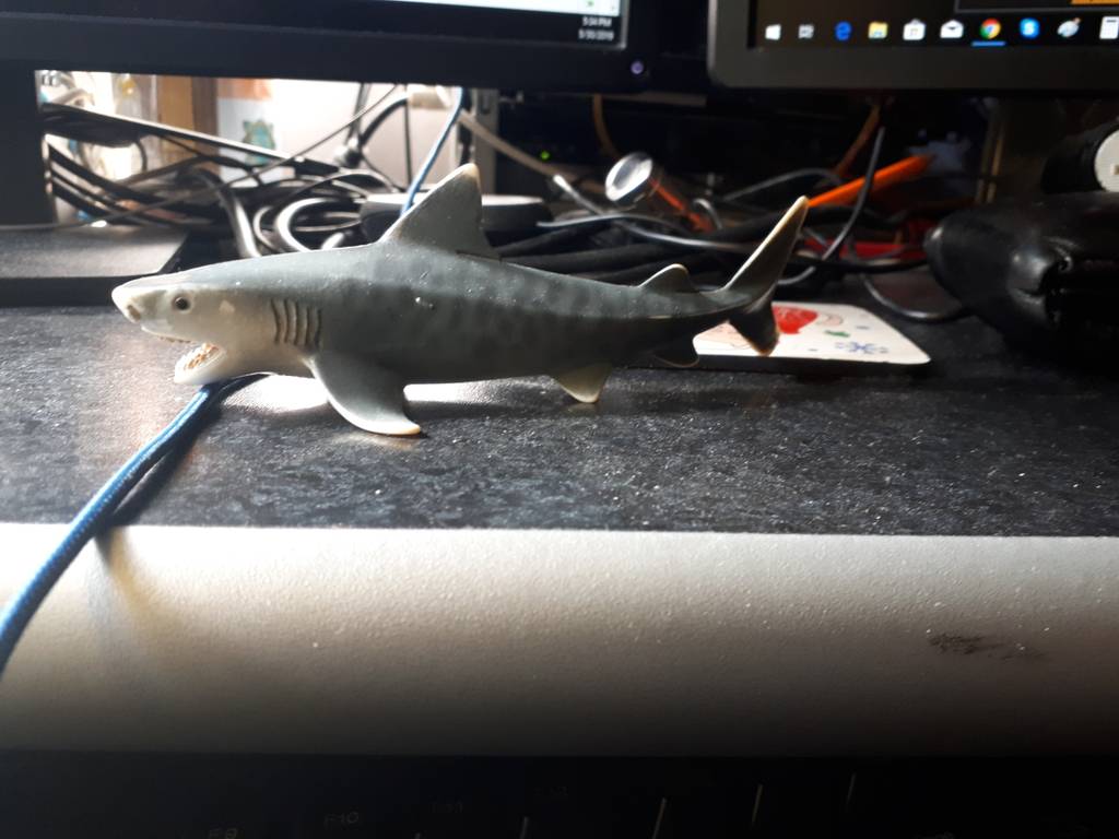 user posted image