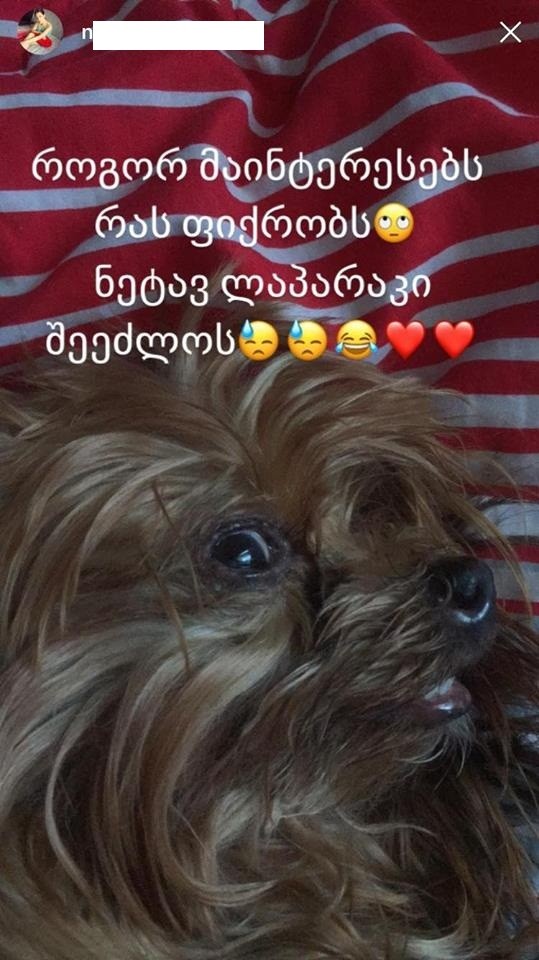 user posted image