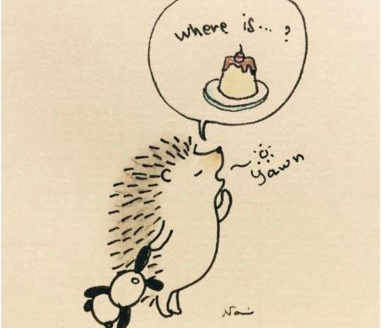 user posted image