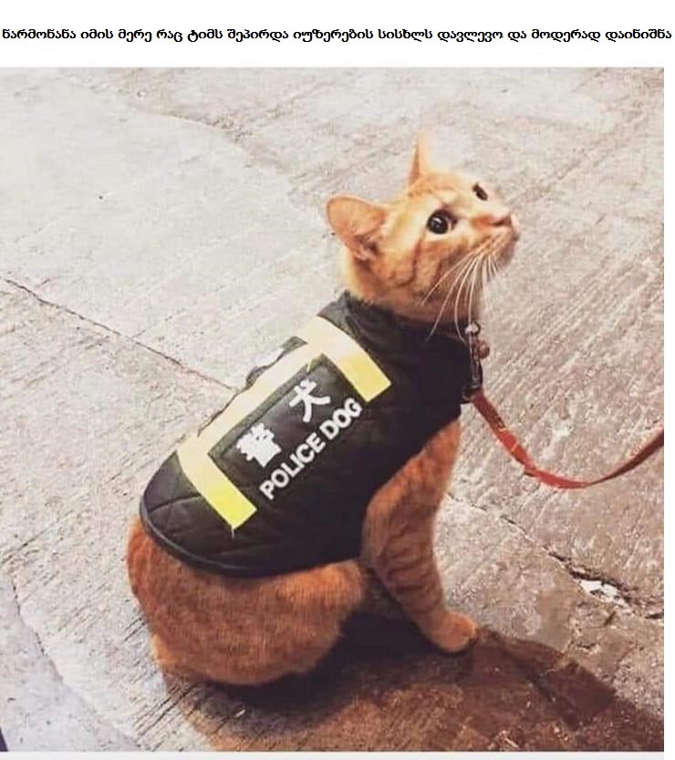 user posted image