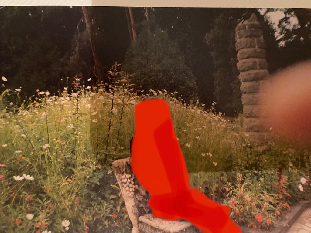 user posted image