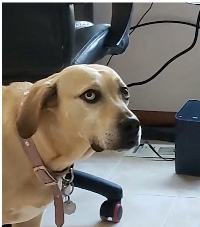 user posted image