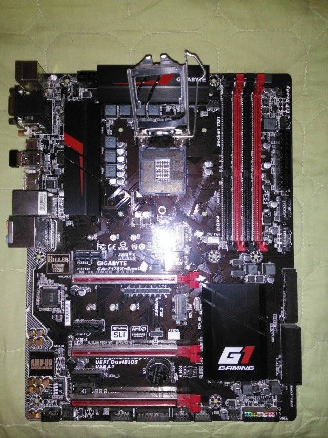 user posted image
