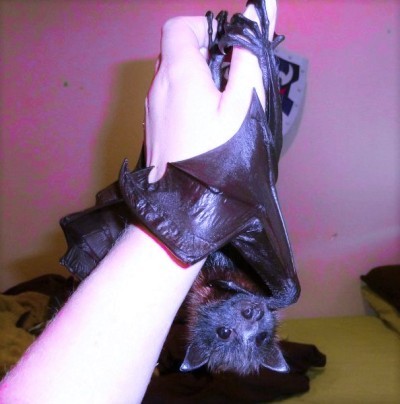 user posted image