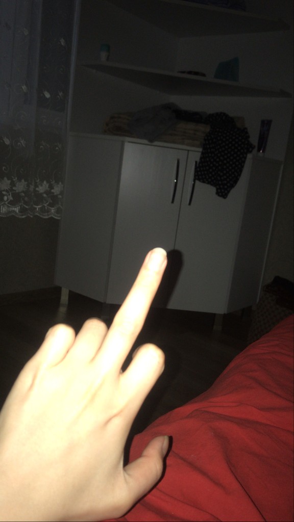 user posted image