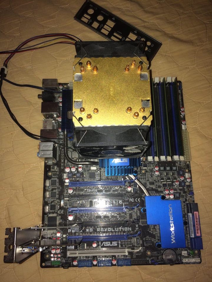 user posted image