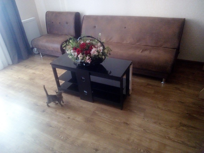 user posted image
