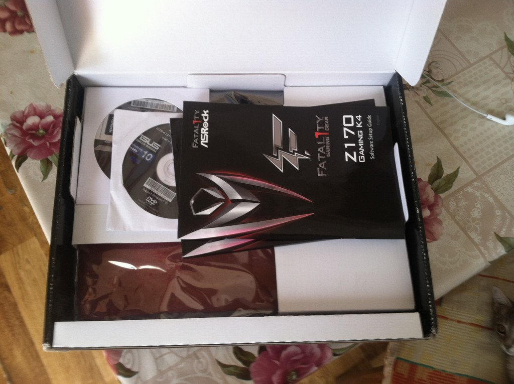 user posted image