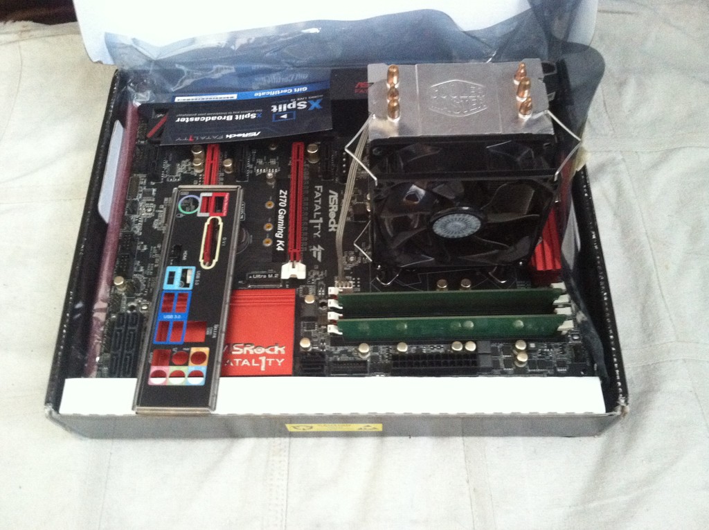 user posted image