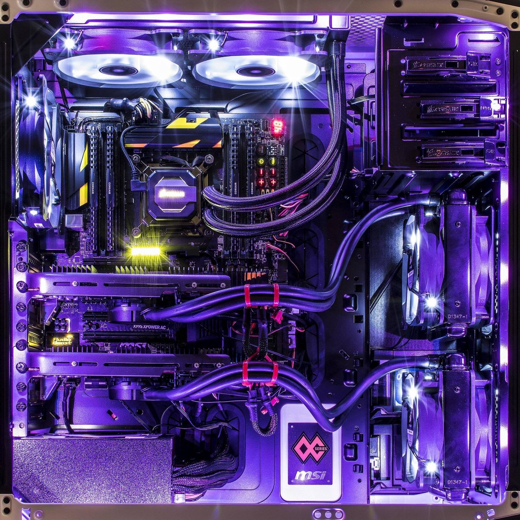 Purple gaming