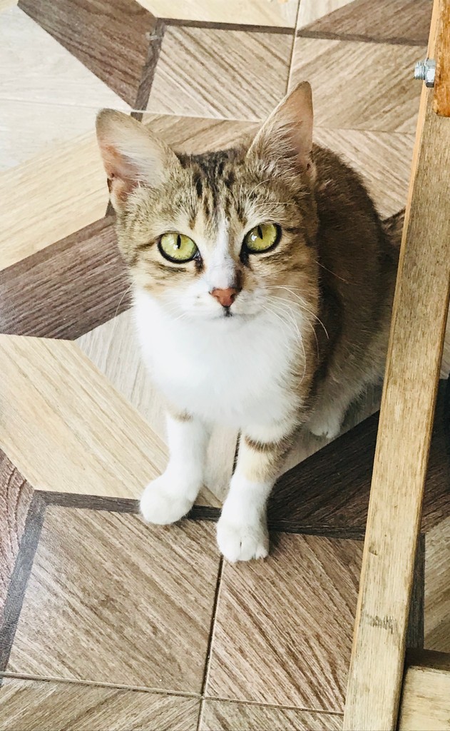 user posted image