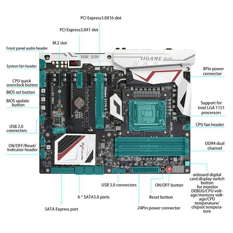 user posted image