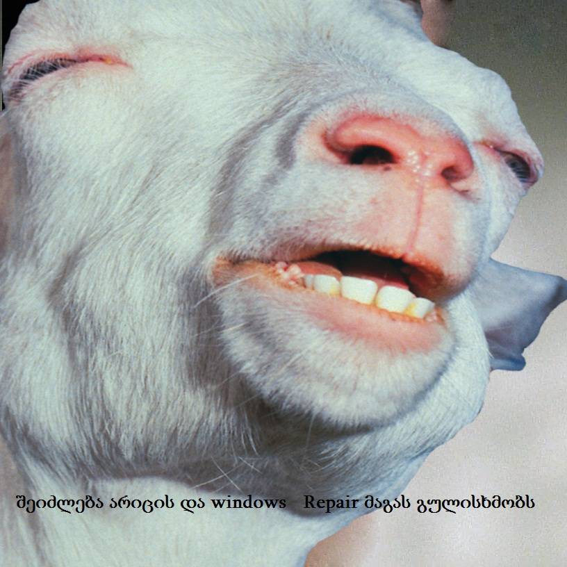 user posted image