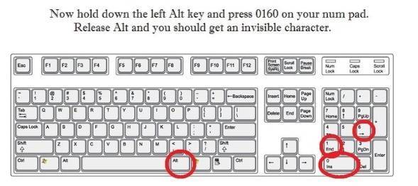 user posted image