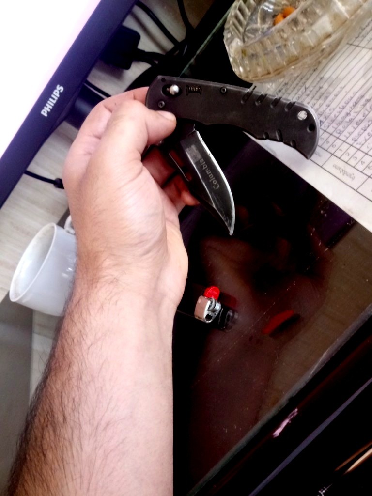user posted image