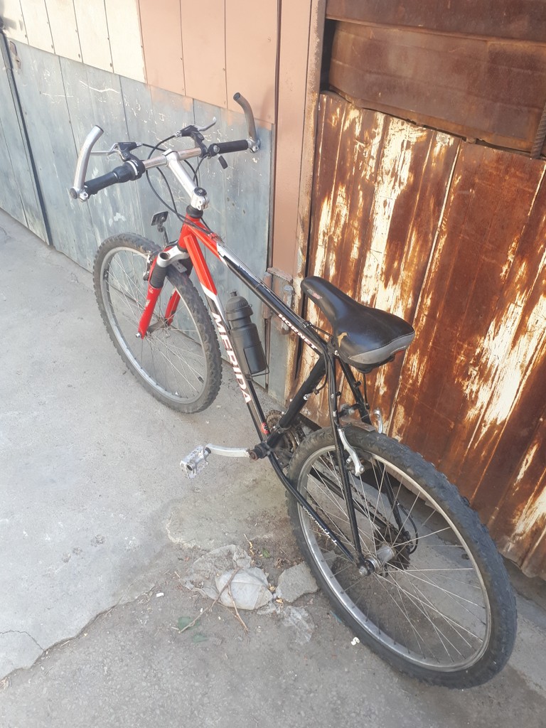 user posted image