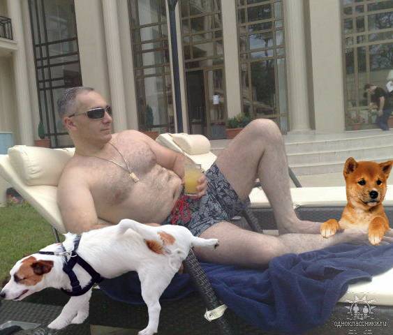 user posted image