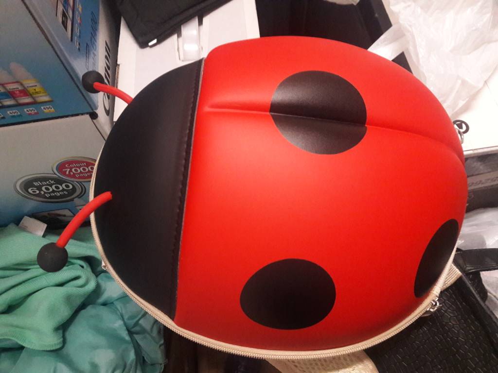 user posted image