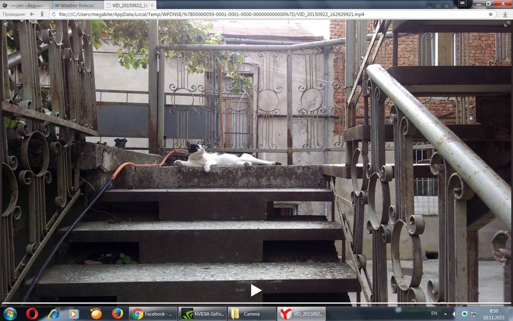 user posted image