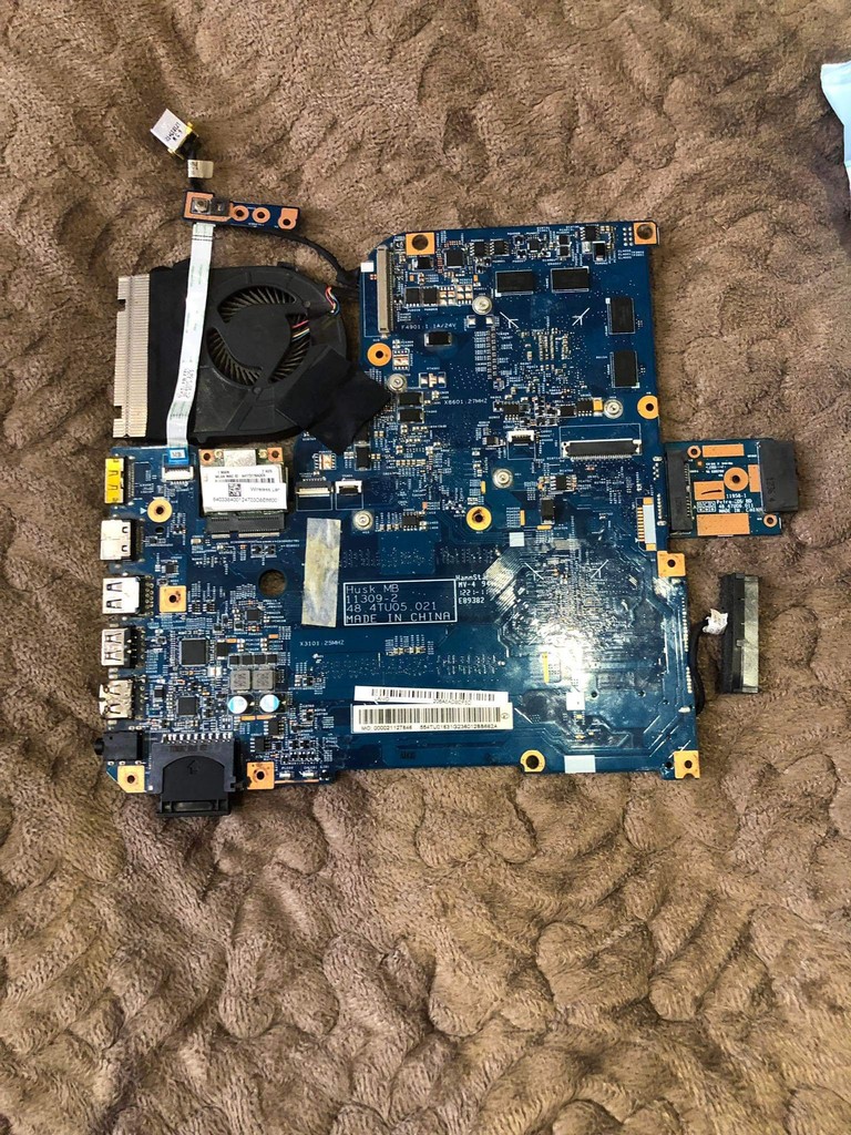 user posted image