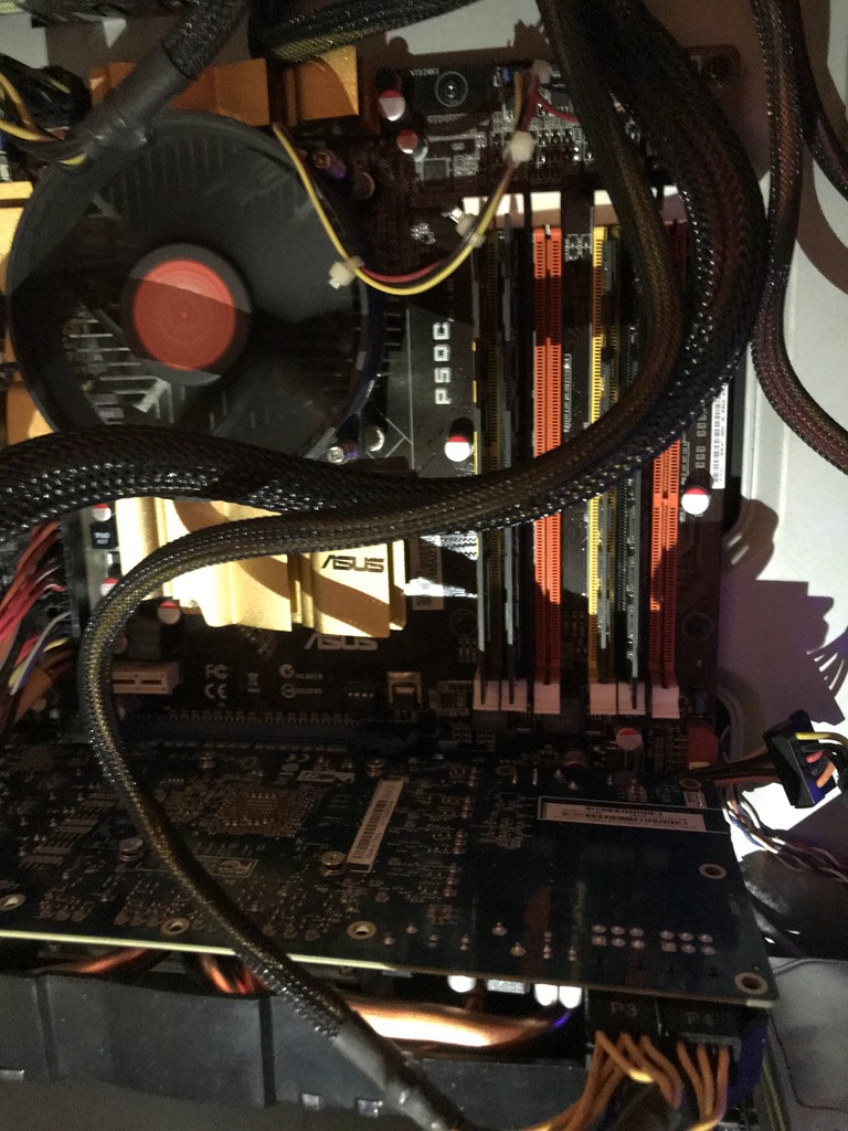 user posted image