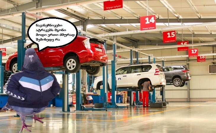 user posted image