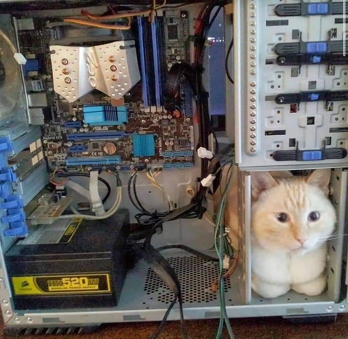 user posted image